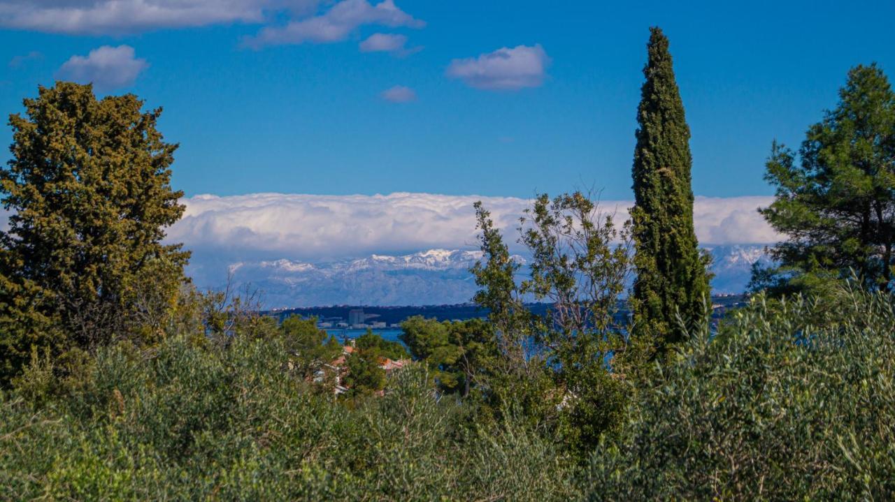 Vila Vecchia Oliva,Kuljica Kukljica Exteriér fotografie