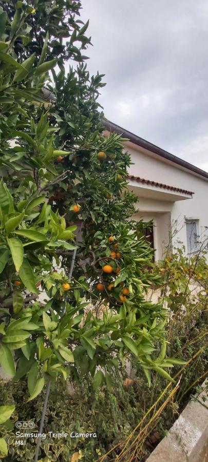 Vila Vecchia Oliva,Kuljica Kukljica Exteriér fotografie