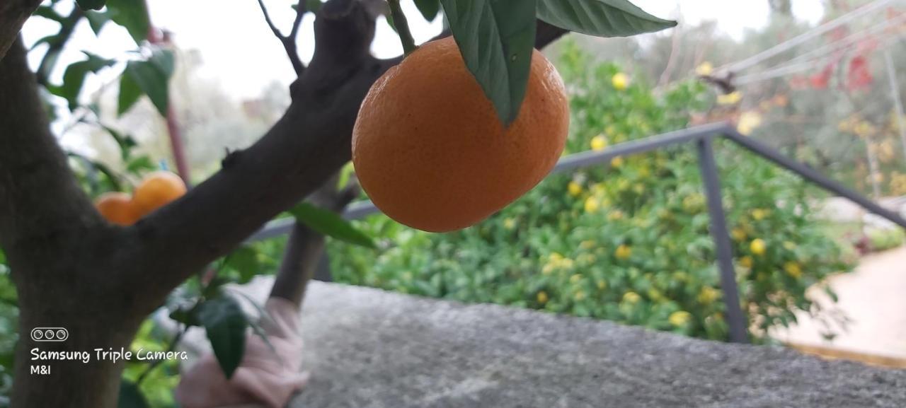 Vila Vecchia Oliva,Kuljica Kukljica Exteriér fotografie